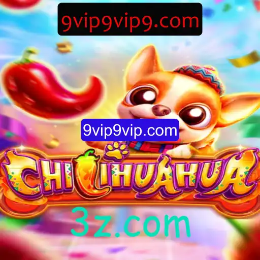 Descubra o Mundo Empolgante de CHILIHUAHUA